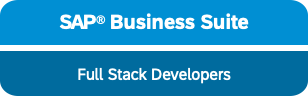 sap business suite erp full stack development abap netweaver