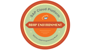 ABAP Environment